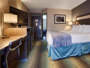 Best Western O'Hare/Elk Grove Hotel Elk Grove Village Værelse billede